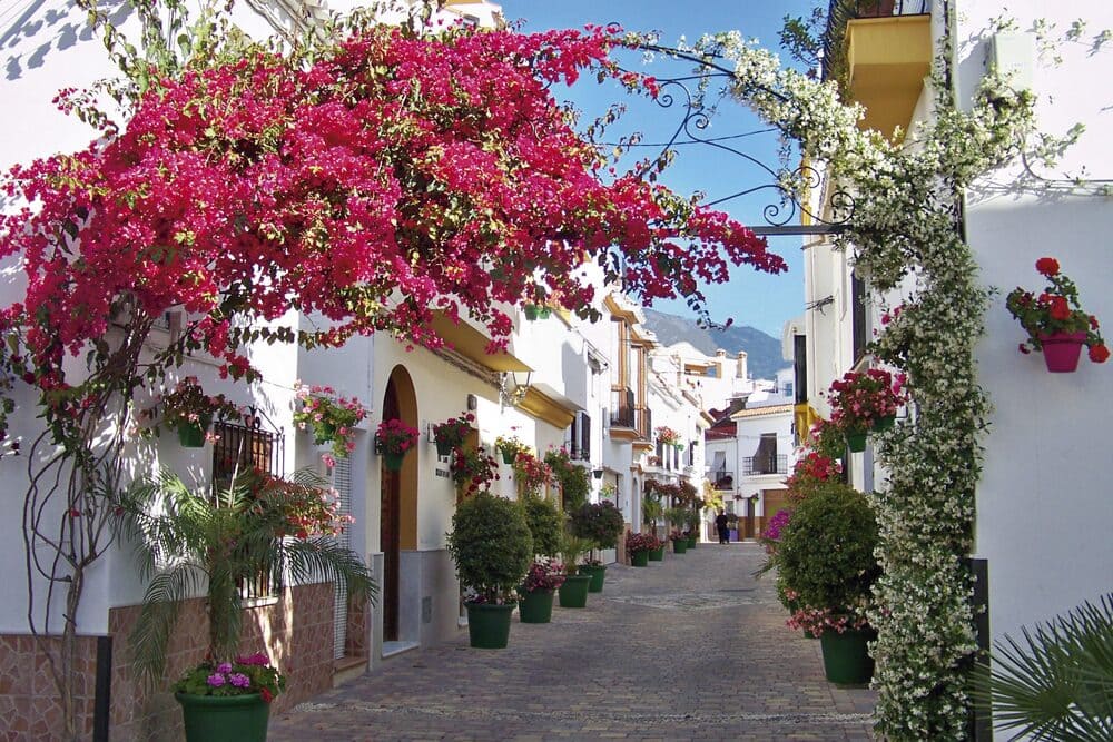Estepona - Calle Flores - AutosunTransfers.com